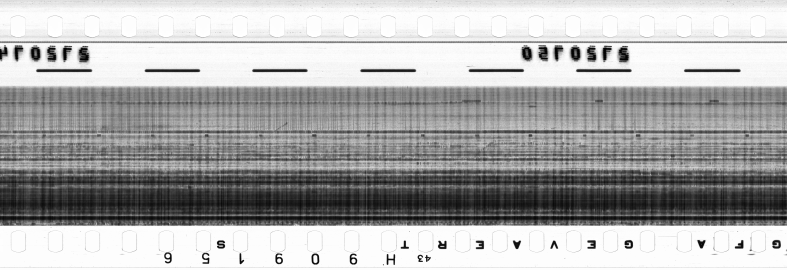 FR751142302_RDN_RN_0021_1990_0142 PNG