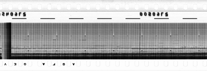 FR751142302_RDN_RN_0021_1990_0263 PNG