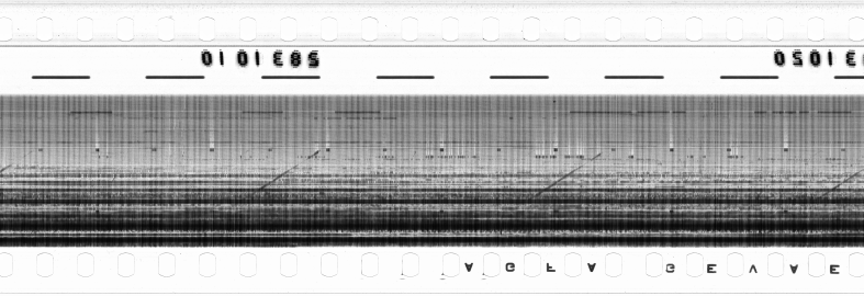 FR751142302_RDN_RN_0022_1990_0081 PNG