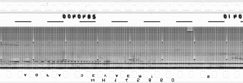 FR751142302_RDN_RN_0022_1990_0101 PNG