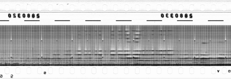 FR751142302_RDN_RN_0022_1990_0207 PNG