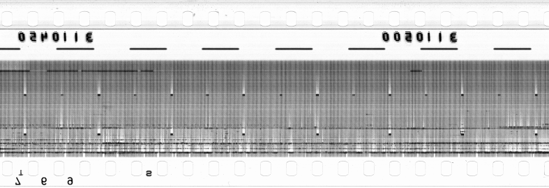 FR751142302_RDN_RN_0025_1990_0074 PNG