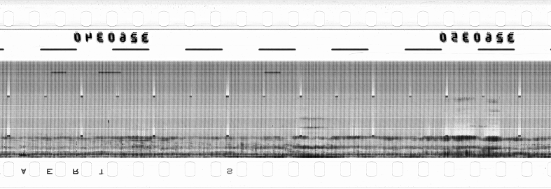 FR751142302_RDN_RN_0026_1990_0295 PNG