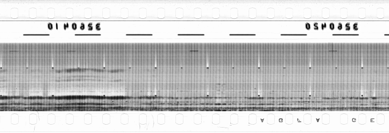 FR751142302_RDN_RN_0026_1990_0297 PNG