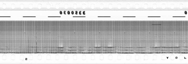 FR751142302_RDN_RN_0027_1990_0235 PNG