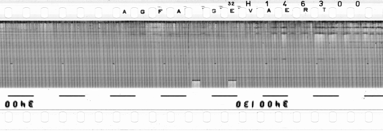 FR751142302_RDN_RN_0028_1990_0041 PNG