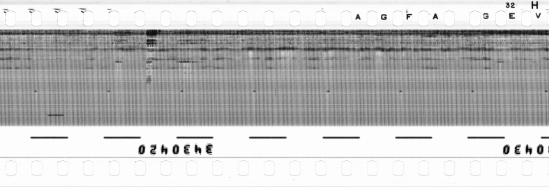 FR751142302_RDN_RN_0028_1990_0149 PNG