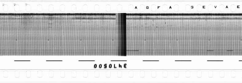 FR751142302_RDN_RN_0028_1990_0280 PNG