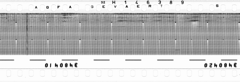 FR751142302_RDN_RN_0028_1990_0309 PNG