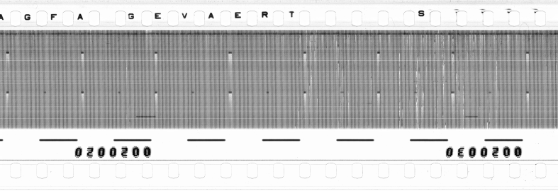 FR751142302_RDN_RN_0030_1990_0275 PNG
