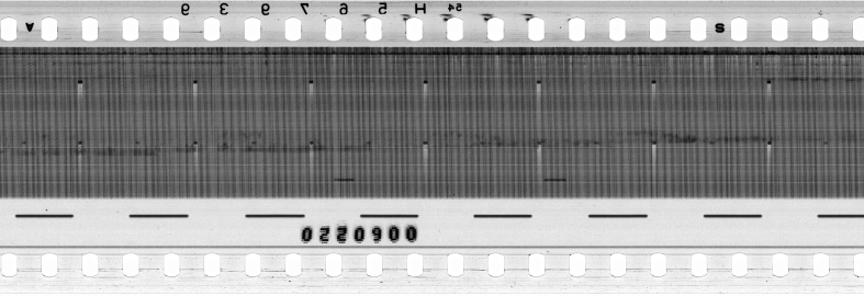 FR751142302_RDN_RN_0031_1991_0089 PNG