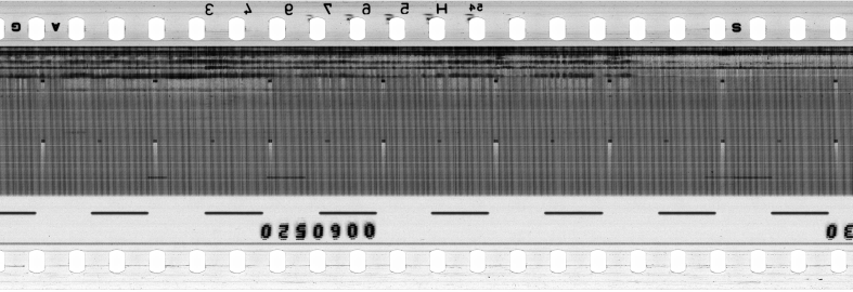 FR751142302_RDN_RN_0031_1991_0101 PNG