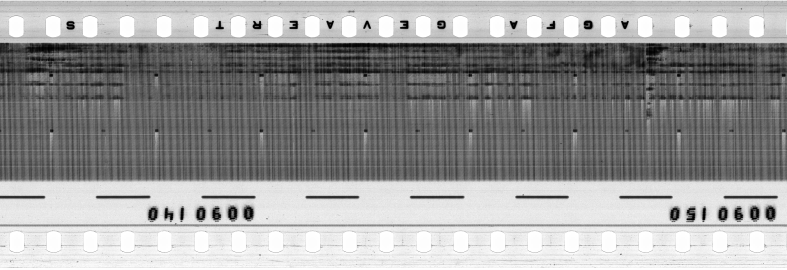 FR751142302_RDN_RN_0031_1991_0183 PNG