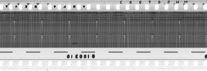 FR751142302_RDN_RN_0031_1991_0221 PNG