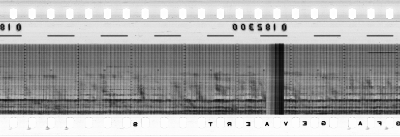 FR751142302_RDN_RN_0032_1991_0100 PNG