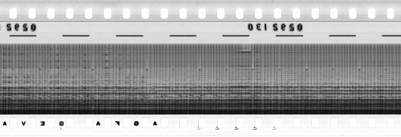 FR751142302_RDN_RN_0033_1991_0146 PNG