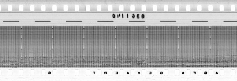 FR751142302_RDN_RN_0033_1991_0290 PNG