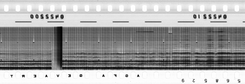 FR751142302_RDN_RN_0034_1991_0224 PNG