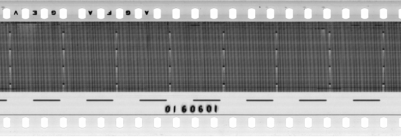 FR751142302_RDN_RN_0039_1991_0274 PNG