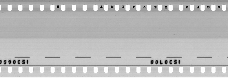 FR751142302_RDN_RN_0040_1991_0315 PNG