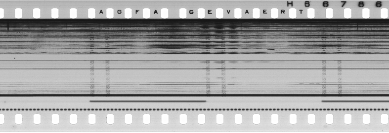 FR751142302_RDN_S_0101_1978_0031 PNG