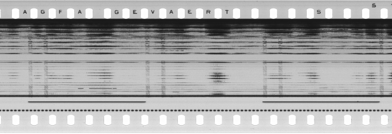 FR751142302_RDN_S_0101_1978_0138 PNG