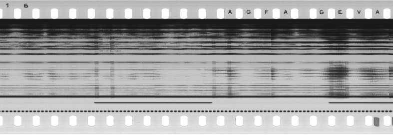 FR751142302_RDN_S_0101_1978_0145 PNG