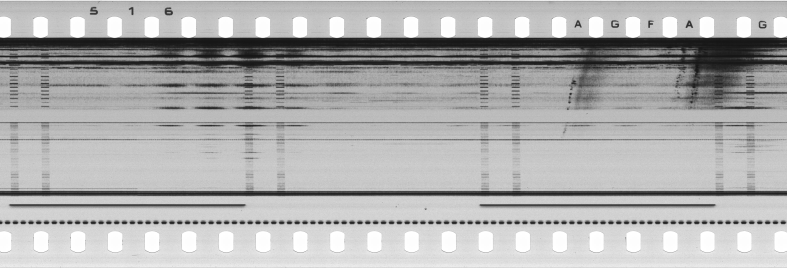 FR751142302_RDN_S_0101_1978_0196 PNG