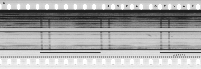 FR751142302_RDN_S_0103_1978_0281 PNG