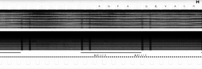FR751142302_RDN_S_0110_1978_0137 PNG