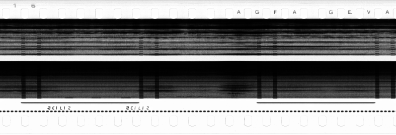 FR751142302_RDN_S_0110_1978_0185 PNG
