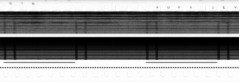 FR751142302_RDN_S_0110_1978_0209 PNG