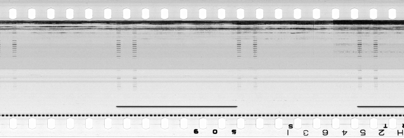FR751142302_RDN_S_0113_1978_0145 PNG