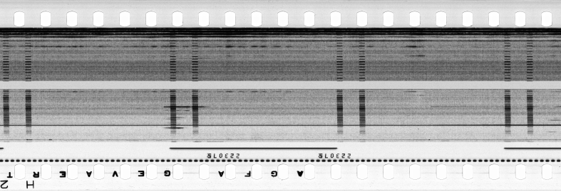 FR751142302_RDN_S_0113_1978_0173 PNG