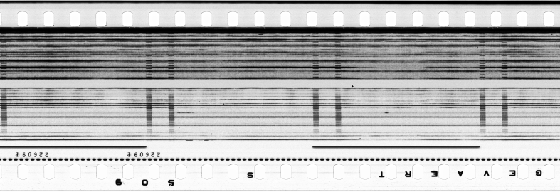 FR751142302_RDN_S_0114_1978_0173 PNG
