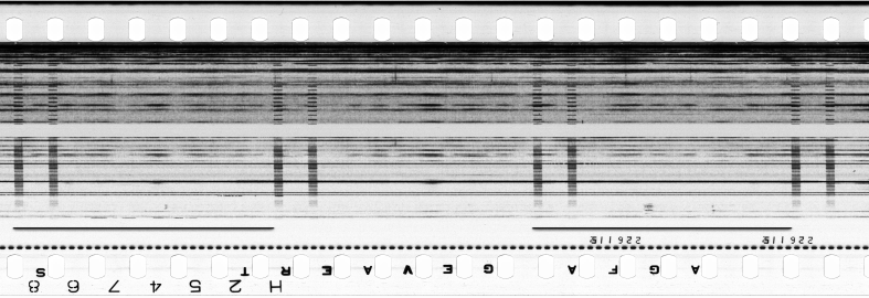 FR751142302_RDN_S_0114_1978_0220 PNG