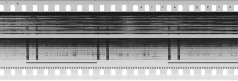 FR751142302_RDN_S_0119_1978_0041 PNG