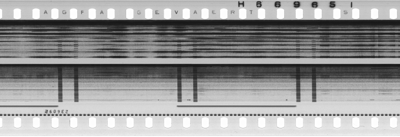 FR751142302_RDN_S_0119_1978_0049 PNG