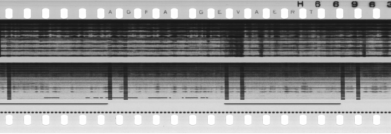 FR751142302_RDN_S_0119_1978_0109 PNG