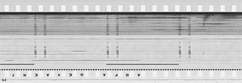 FR751142302_RDN_S_0125_1978_0090 PNG