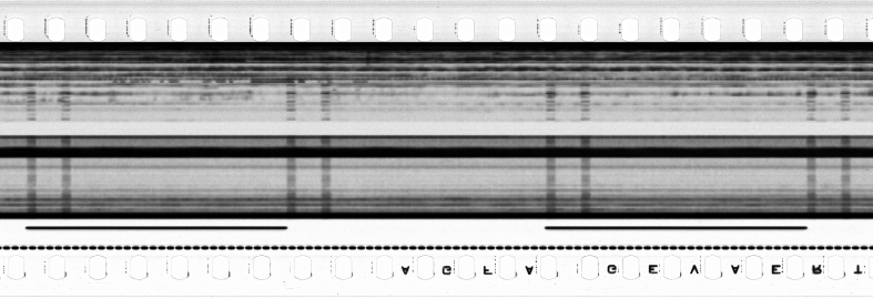 FR751142302_RDN_S_0129_1978_0119 PNG