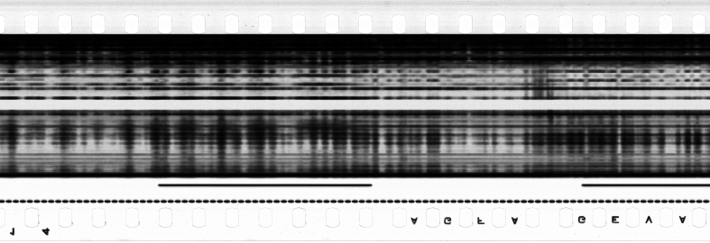 FR751142302_RDN_S_0129_1978_0173 PNG