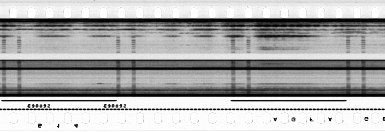 FR751142302_RDN_S_0129_1978_0230 PNG
