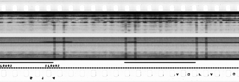 FR751142302_RDN_S_0129_1978_0242 PNG