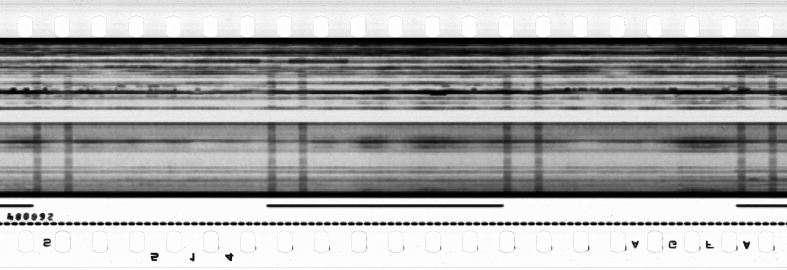 FR751142302_RDN_S_0129_1978_0269 PNG
