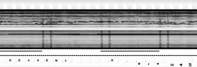 FR751142302_RDN_S_0129_1978_0273 PNG