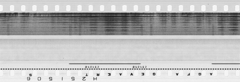 FR751142302_RDN_S_0146_1978_0184 PNG
