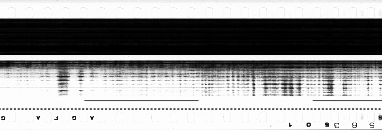 FR751142302_RDN_S_0168_1978_0311 PNG