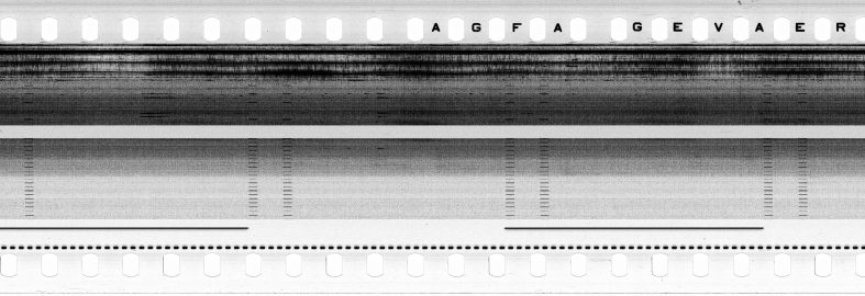 FR751142302_RDN_S_0187_1979_0281 PNG