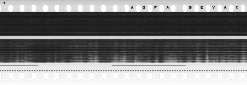 FR751142302_RDN_S_0188_1979_0043 PNG